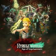 Hyrule Warriors - Age of Imprisonment game cover
