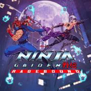 Ninja Gaiden: Ragebound game cover