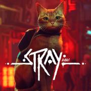 Stray game cover