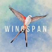Wingspan - Special Edition game cover